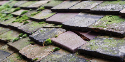 Cuddesdon roof repair costs